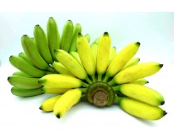 Lady Finger Banana (1kg)