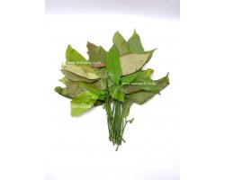 Melinjo Leaf (100g)