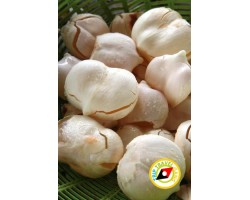 Toddy Plam (Fresh) (500g)