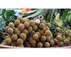Longan (1kg)