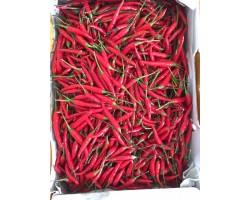 Red Chilli (1 Kg) *** Special Price