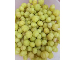 Star Goosberry (500g)