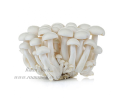 Shimeji Mushroom (150g)