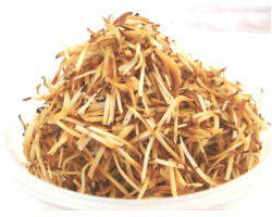 Roasted Coconut (250g)