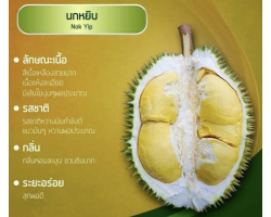 Durian - Nok Yip  3 kg