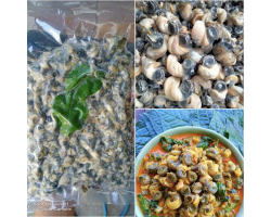 หอยขมแกะเนื้อ (500g)