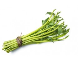 Water Convolvulus (200g)